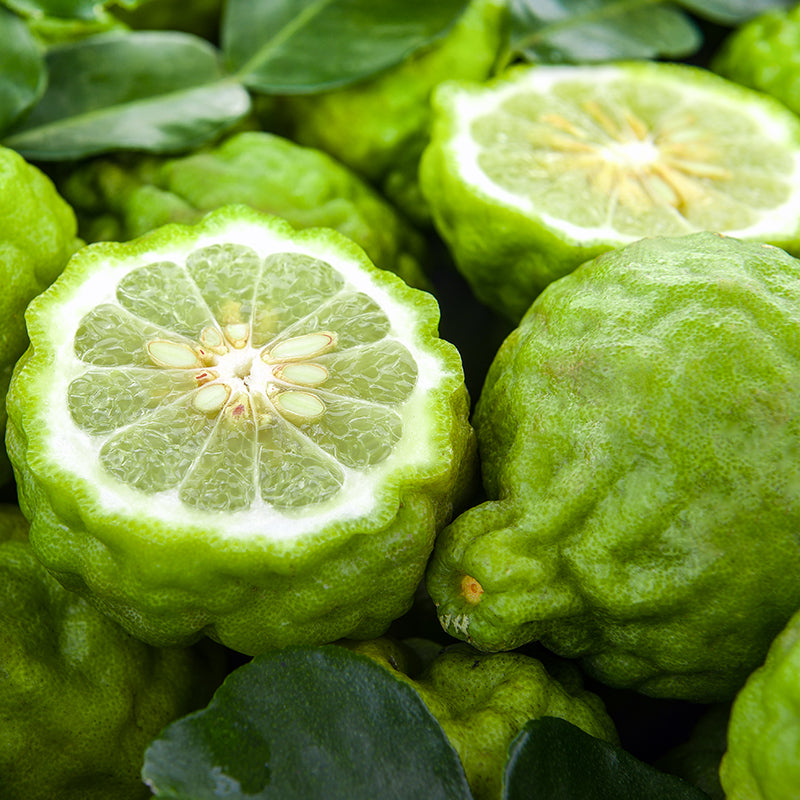 Close-up of bergamot fruits, including one cut in half to show the segmented pulp and seeds, with dark green leaves around it.